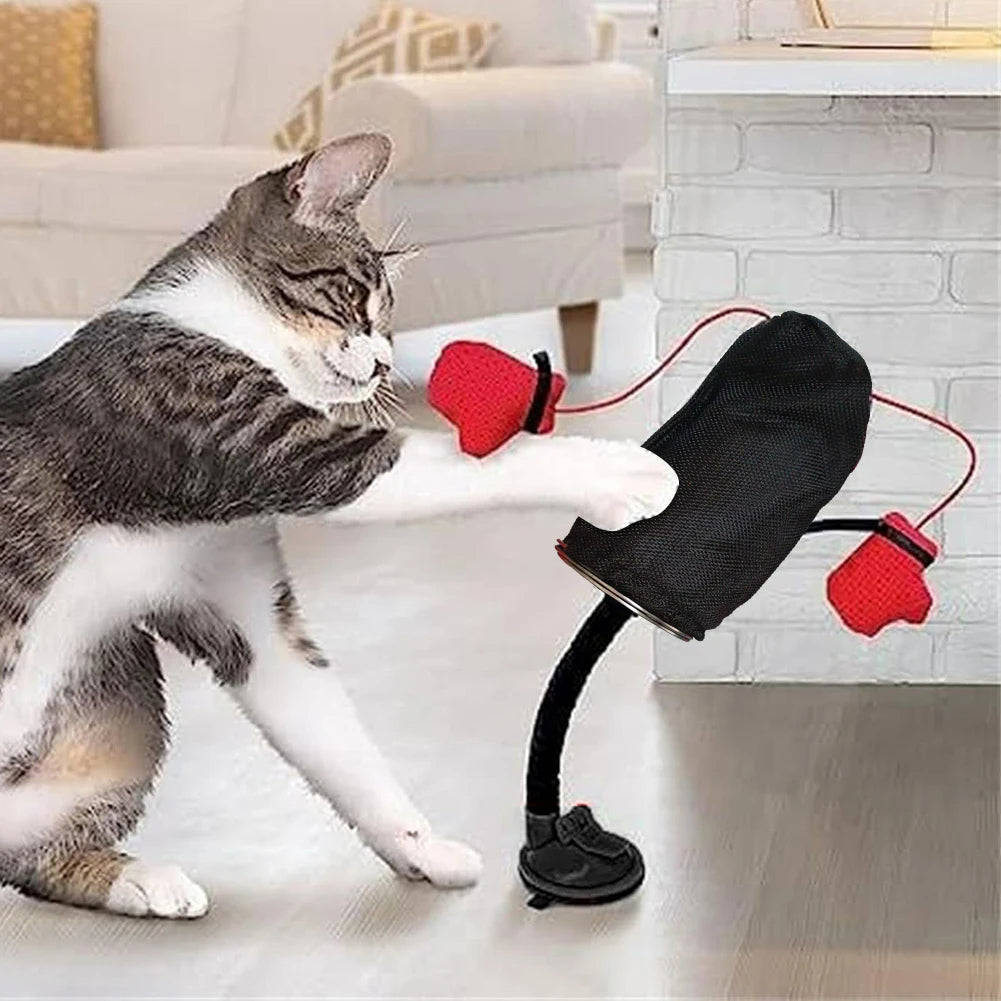 Kitty Box Champs