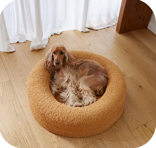 Orthopedic Luxe Dog Bed - "Cloud Haven"