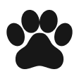 icon-image